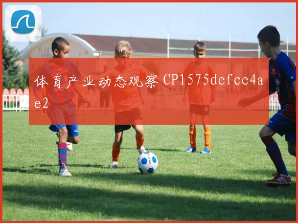 体育产业动态观察 CP1575defce4ae2